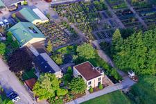 Bienwald Baumschule / Greentec in Berg im Bundesland Rheinland-Pfalz, Deutschland von oben gesehen