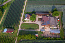 Obst- und Spagelhof Gensheimer in Steinweiler im Bundesland Rheinland-Pfalz, Deutschland von oben