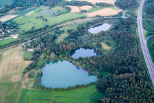 Buchenseen im Ortsteil Güttingen in Radolfzell am Bodensee im Bundesland Baden-Württemberg, Deutschland