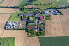 Niederlauterbach im Bundesland Bas-Rhin, Frankreich von oben