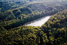 Ortsteil Litzelstetten in Konstanz im Bundesland Baden-Württemberg, Deutschland von oben