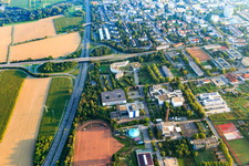 Otto-Mayer-Straße mit Gästehaus Otto Mayer, Pädagogisches Landesinstitut Rheinland-Pfalz, Landesbibliothekszentrum Rheinland-Pfalz / Pfälzische Landesbibliothek und Zirkus Bellissima in Speyer, Deutschland