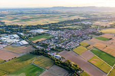 Drohnenbild von Rohrbach im Bundesland Rheinland-Pfalz, Deutschland