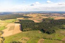Nidderwiesen in der Nidderau im Ortsteil Eichen im Bundesland Hessen, Deutschland