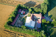 Schrägluftbild von Am Erlenbach, Leistenmühle in Kandel im Bundesland Rheinland-Pfalz, Deutschland