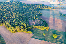 Forets in Chaouilley im Bundesland Meurthe-et-Moselle, Frankreich