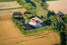 Luftbild von Am Erlenbach, Leistenmühle in Kandel im Bundesland Rheinland-Pfalz, Deutschland