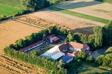 Luftaufnahme von Am Erlenbach, Leistenmühle in Kandel im Bundesland Rheinland-Pfalz, Deutschland