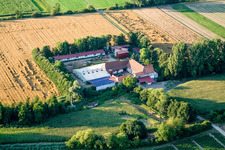 Schrägluftbild von Am Erlenbach, Leistenmühle in Kandel im Bundesland Rheinland-Pfalz, Deutschland