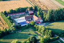 Am Erlenbach, Leistenmühle in Kandel im Bundesland Rheinland-Pfalz, Deutschland von oben