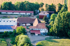 Am Erlenbach, Leistenmühle in Kandel im Bundesland Rheinland-Pfalz, Deutschland vom Flugzeug aus
