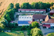 Am Erlenbach, Leistenmühle in Kandel im Bundesland Rheinland-Pfalz, Deutschland aus der Vogelperspektive
