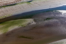 Schrägluftbild von Westküste bei Ebbe in Fanø im Bundesland Syddanmark, Dänemark