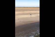 Fanoe Bad Beach in Fanø im Bundesland Syddanmark, Dänemark