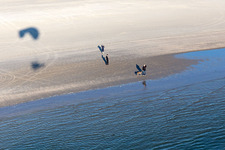 Fanoe Bad Beach in Fanø im Bundesland Syddanmark, Dänemark von oben