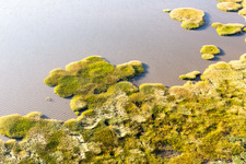 Nationalpark Wattenmeer in Fanø im Bundesland Syddanmark, Dänemark aus der Drohnenperspektive
