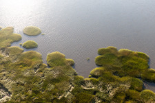 Nationalpark Wattenmeer in Fanø im Bundesland Syddanmark, Dänemark von der Drohne aus gesehen