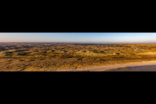 Dünenpanorama in Fanø im Bundesland Syddanmark, Dänemark