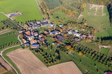 Straussenfarm Hegau-Bodensee in Stockach im Bundesland Baden-Württemberg, Deutschland