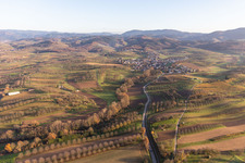 Ortsteil Nesselried in Appenweier im Bundesland Baden-Württemberg, Deutschland aus der Luft