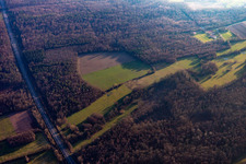 A65 in Steinweiler im Bundesland Rheinland-Pfalz, Deutschland