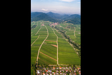 Birnbachtal von Osten in Leinsweiler im Bundesland Rheinland-Pfalz, Deutschland