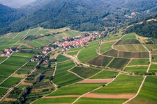Winzerort am Haardtrand von Nordosten in Leinsweiler im Bundesland Rheinland-Pfalz, Deutschland