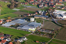 Glasdach- Flächen in den Gewächshausreihen zur Blumenzucht des Göppert Gartencenter GmbH im Ortsteil Bollenbach in Haslach im Kinzigtal im Bundesland Baden-Württemberg, Deutschland
