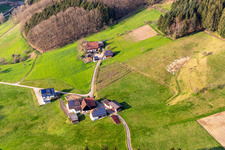 Haslach im Kinzigtal im Bundesland Baden-Württemberg, Deutschland vom Flugzeug aus
