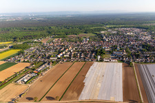 Kandel im Bundesland Rheinland-Pfalz, Deutschland