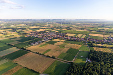 Schrägluftbild von Freckenfeld im Bundesland Rheinland-Pfalz, Deutschland
