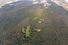 Bienwald, Lautertal in Schweighofen im Bundesland Rheinland-Pfalz, Deutschland