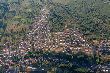 Von Wald und Forstgebieten umgebener Ortskern der Straßen und Häuser und Wohngebiete in Fischbach bei Dahn im Bundesland Rheinland-Pfalz, Deutschland