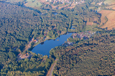 Saarbacher Mühlweiher in Ludwigswinkel im Bundesland Rheinland-Pfalz, Deutschland