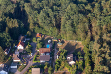 Luftaufnahme von Felsenweg in Ludwigswinkel im Bundesland Rheinland-Pfalz, Deutschland
