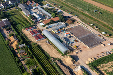 Luftaufnahme von Kugelmann Biogemüse Neubau der Produktionshalle in Kandel im Bundesland Rheinland-Pfalz, Deutschland