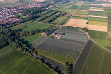 Spargel und Obsthof Gensheimer in Steinweiler im Bundesland Rheinland-Pfalz, Deutschland