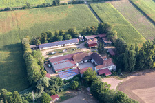 Drohnenaufname von Kandel im Bundesland Rheinland-Pfalz, Deutschland