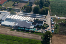 Drohnenbild von Kandel im Bundesland Rheinland-Pfalz, Deutschland