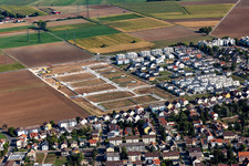 Luftbild von Neubaugebiet "Mitten im Feld" in Heddesheim im Bundesland Baden-Württemberg, Deutschland