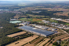 Luftbild von Gebäude und Produktionshallen auf dem Werksgelände Goodyear Dunlop Tires Germany an der Goodyearstraße in Philippsburg im Bundesland Baden-Württemberg, Deutschland