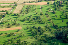 Streuobstwiesen im Ortsteil Pfäffingen in Ammerbuch im Bundesland Baden-Württemberg, Deutschland
