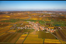 Dackenheim im Bundesland Rheinland-Pfalz, Deutschland