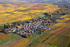 Herbstliche verfärbte Vegetationsansicht Bissersheim im Bundesland Rheinland-Pfalz, Deutschland