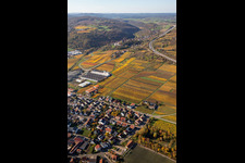 Schrägluftbild von Herbstliche verfärbte Weinberge zwischen Sausenheim und Neuleiningen im Bundesland Rheinland-Pfalz, Deutschland