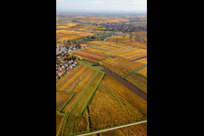 Schrägluftbild von Kleinkarlbach im Bundesland Rheinland-Pfalz, Deutschland