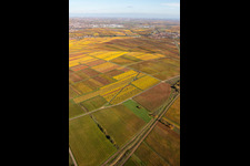 Kleinkarlbach im Bundesland Rheinland-Pfalz, Deutschland von einer Drohne aus