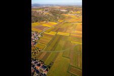 Burg Battenberg im Bundesland Rheinland-Pfalz, Deutschland