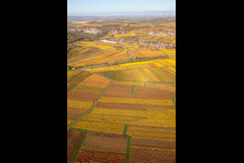 Kleinkarlbach im Bundesland Rheinland-Pfalz, Deutschland von oben