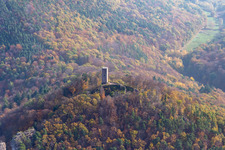 Herbstluftbild der Burg Scharfeneck über dem Pfälzerwald in Annweiler am Trifels im Bundesland Rheinland-Pfalz, Deutschland